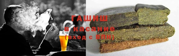 гашик Дубна