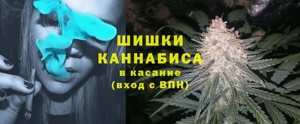 ГАЛЛЮЦИНОГЕННЫЕ ГРИБЫ Армянск